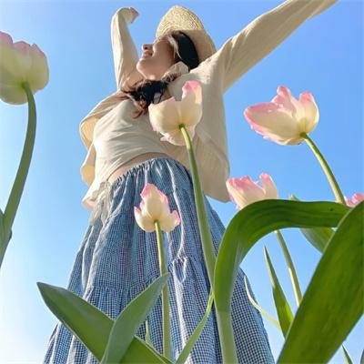 地平线系列:太阳系的秘密